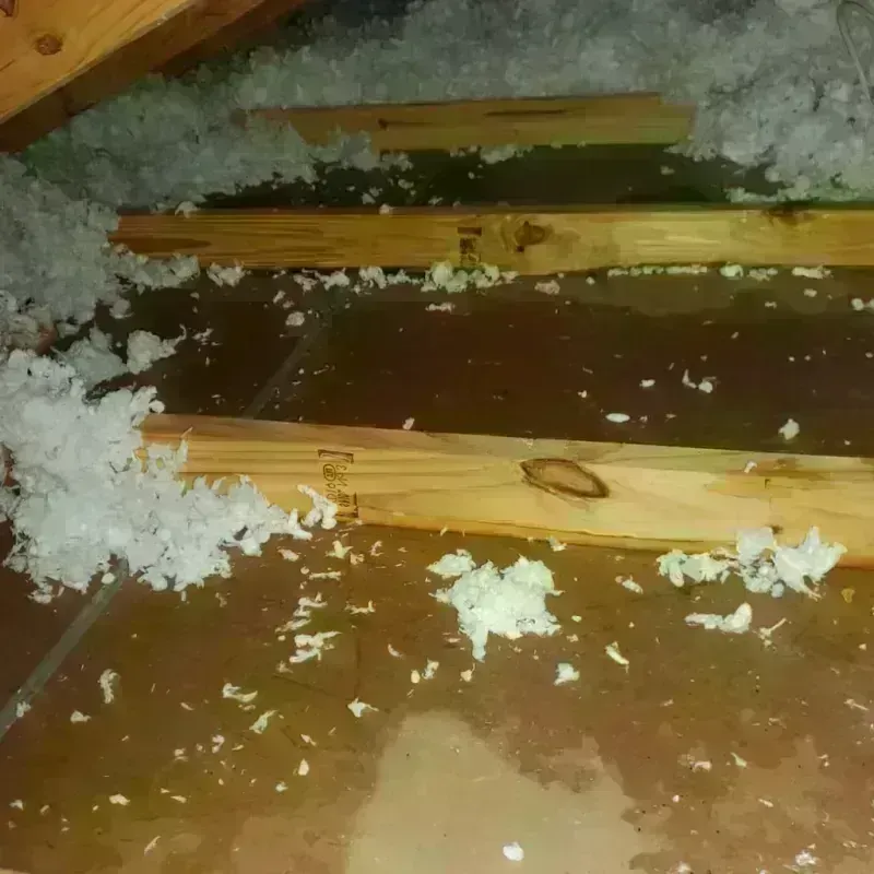 Attic Water Damage in Jackson County, OH