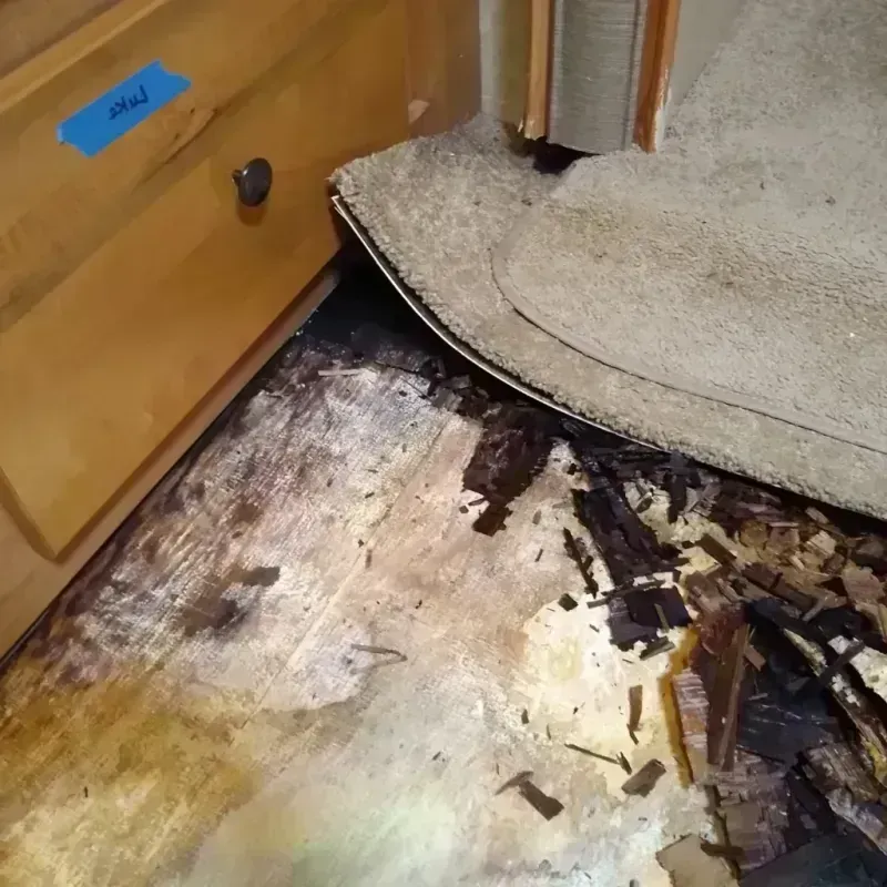 Wood Floor Water Damage in Jackson County, OH